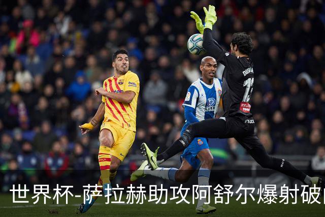 世界杯-萨拉赫助攻阿舒尔爆射破门 埃及半场1-0比利时