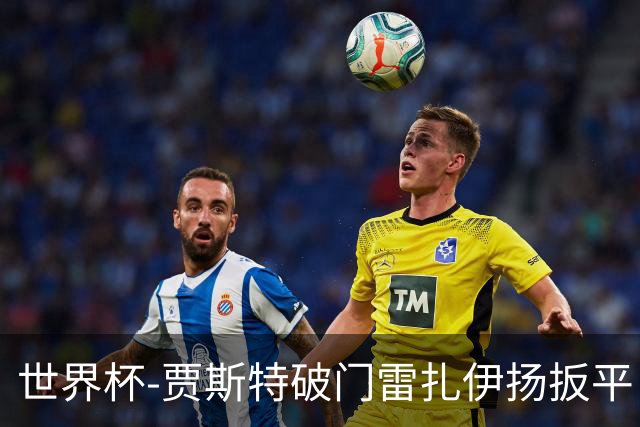 世界杯-贾斯特破门雷扎伊扬扳平 半场伊朗1-1新西兰