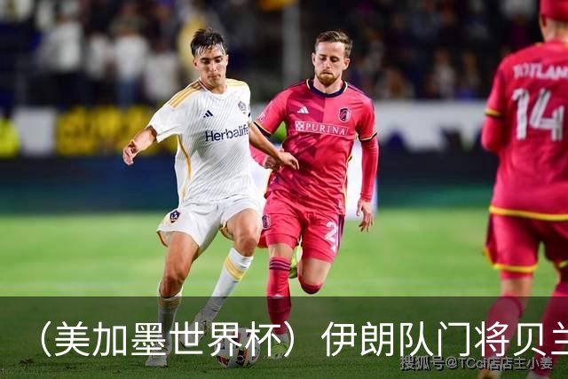 （美加墨世界杯）伊朗队门将贝兰万德的“满分”